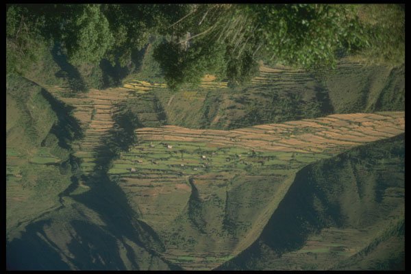 246018 Rice Paddies, Tsaling Village A4 Photo Print