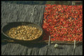 246055 Chillies Drying, Tashigang A4 Photo Print