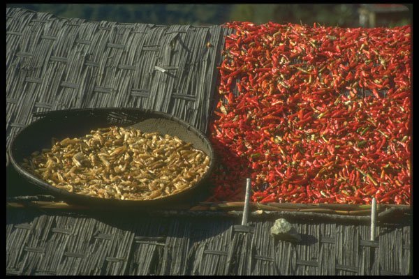 246055 Chillies Drying, Tashigang A4 Photo Print