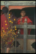 246057 Monk With Horn, Tashigang A4 Photo Print