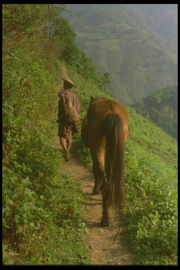 246061 Man With Horse On Path, Pema Gatshel A4 Photo Print