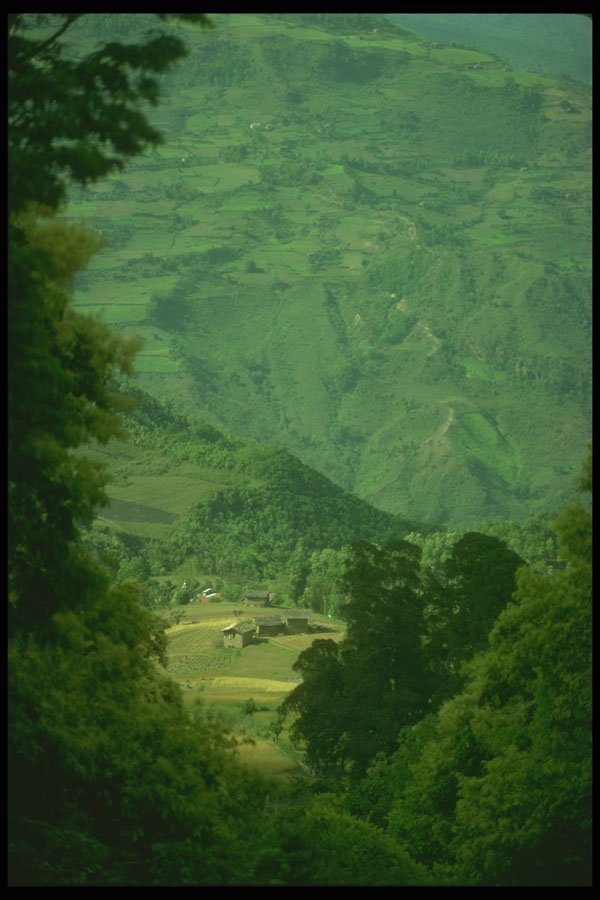 246065 Valley View From Road Near Khaling A4 Photo Print