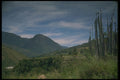 246087 Radhi Valley, Eastern Bhutan A4 Photo Print