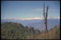 246098 Himalayas, Eastern Bhutan A4 Photo Print