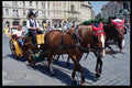 248053 Horse Carriage Rides In Old Town Square A4 Photo Print