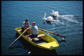 248084 Swans Greeting Tourists On The Vlatva River A4 Photo Print