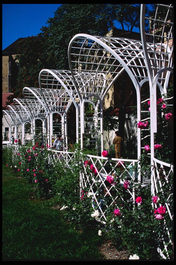 248091 Franciscan Gardens A4 Photo Print