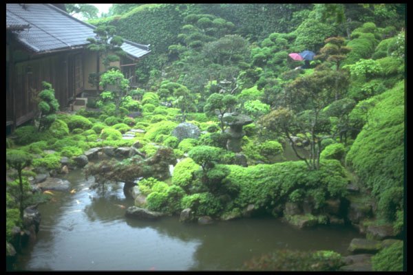 249000 Temple Pond, Nara Prefecture A4 Photo Print
