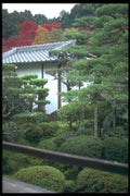 249001 Private Garden, Nara Prefecture A4 Photo Print