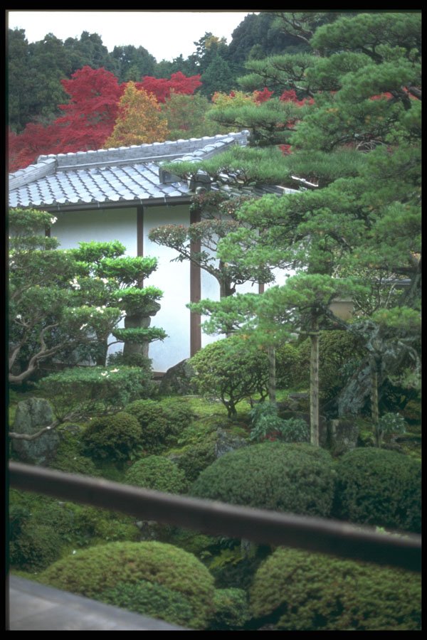 249001 Private Garden, Nara Prefecture A4 Photo Print