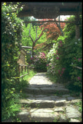 249003 Tranquil Walkway, Kyoto A4 Photo Print