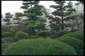 249005 Grounds Of Koriyama Castle, Nara Prefecture A4 Photo Print