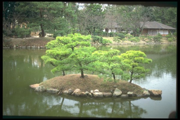 249008 Island Garden, Kyoto A4 Photo Print