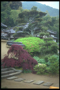 249011 Garden In Autumn, Nara Prefecture A4 Photo Print