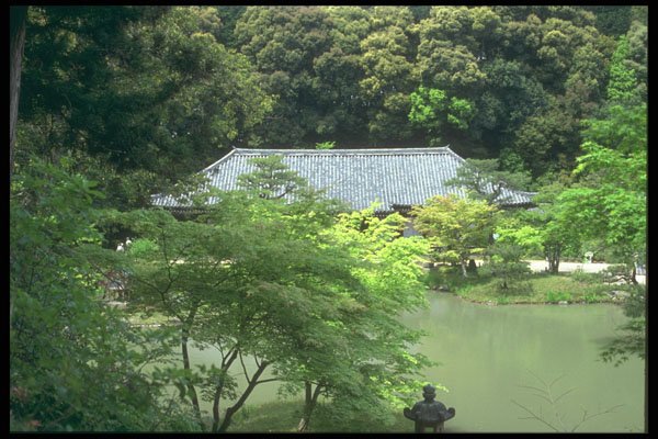 249012 Shades Of Green, Nara Prefecture A4 Photo Print