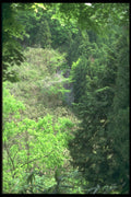 249028 Buddha In The Mountainside, Nara Prefecture A4 Photo Print