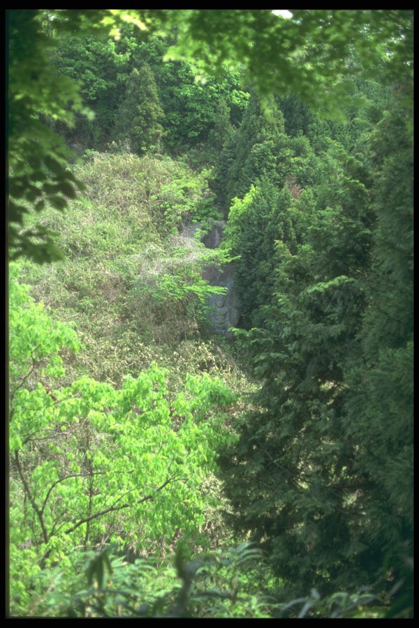 249028 Buddha In The Mountainside, Nara Prefecture A4 Photo Print