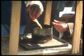 249030 Prayer For A Loved One, Kyoto A4 Photo Print