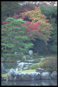249033 Fall At Arashiyama A4 Photo Print