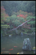 249034 A Calm Fall Day A4 Photo Print