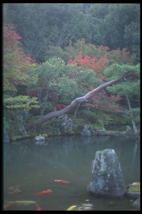 249034 A Calm Fall Day A4 Photo Print