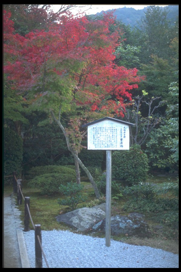 249035 On The Edge Of A Temple Garden A4 Photo Print