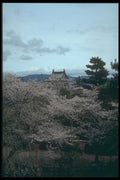 249043 View From The Castle Grounds, Koriyama Castle A4 Photo Print