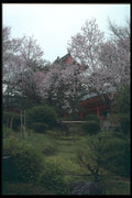 249044 Garden Path, Koriyama Castle A4 Photo Print