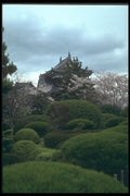 249045 A Touch Of Spring, Koriyama Castle A4 Photo Print