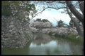 249047 Arrival Of Spring, Koriyama Castle A4 Photo Print