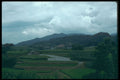 249060 Rice Fields Near Nara A4 Photo Print