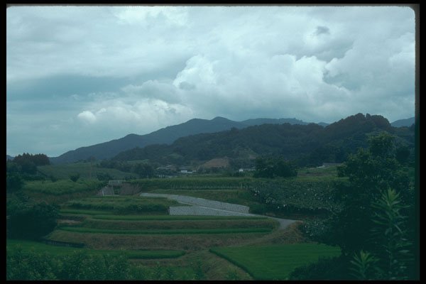 249060 Rice Fields Near Nara A4 Photo Print