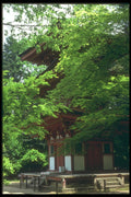 249074 Pagoda At Horyuji, Nara Prefecture A4 Photo Print