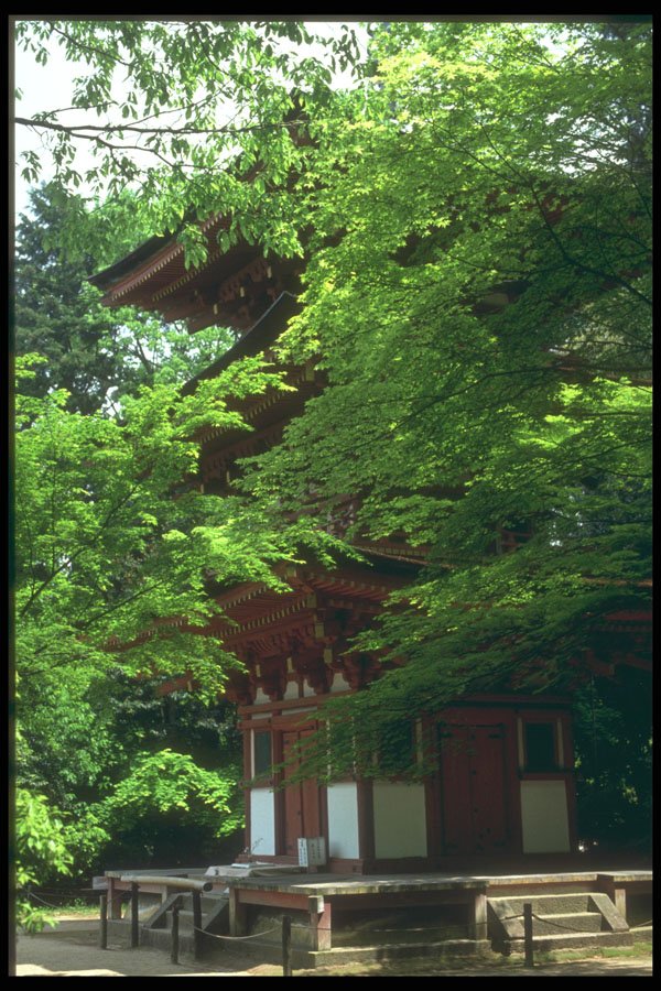 249074 Pagoda At Horyuji, Nara Prefecture A4 Photo Print