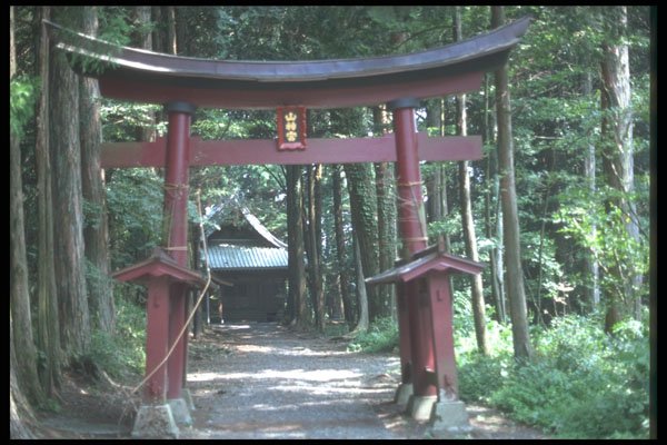 249076 Torii Gate Near Lake Motosu A4 Photo Print