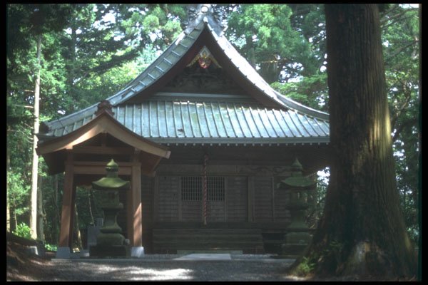 249077 Shrine In The Forest Near Lake Motosu A4 Photo Print