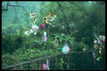 249080 Ornaments In The Trees A4 Photo Print