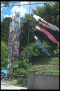 249084 Kites Flown On Children's Day, Osaka A4 Photo Print