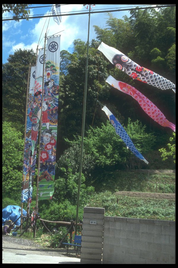 249084 Kites Flown On Children's Day, Osaka A4 Photo Print