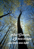 And Jesse begat his firstborn Eliab and Abinadab the second and Shimma the third A4 photo print 
