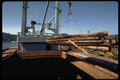 250040 Logs Hoisted Off Ship A4 Photo Print