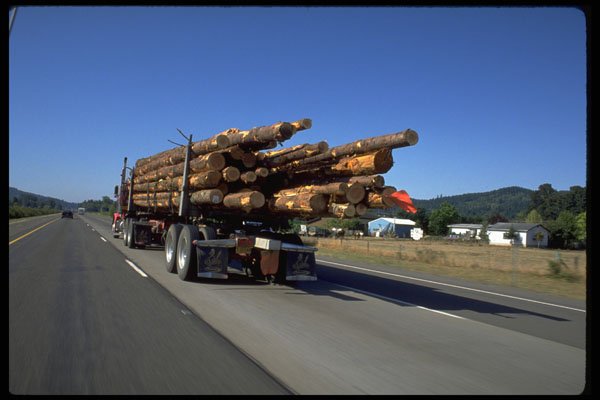 250041 Log Truck A4 Photo Print