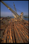 250043 Loading Logs At Port A4 Photo Print