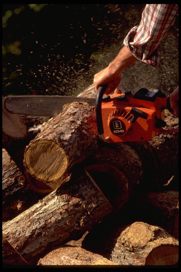 250045 Cutting Logs A4 Photo Print