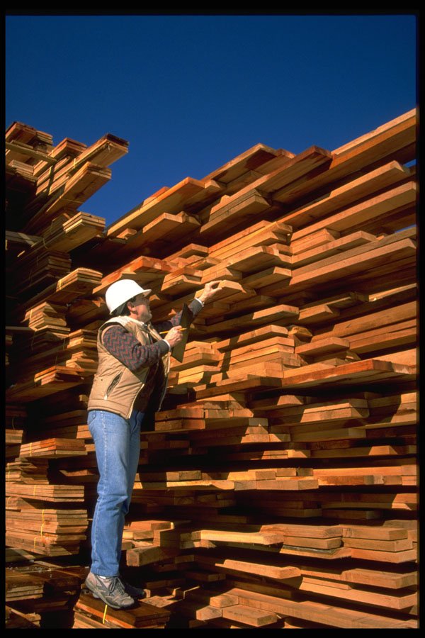 250047 Stacking Planks A4 Photo Print