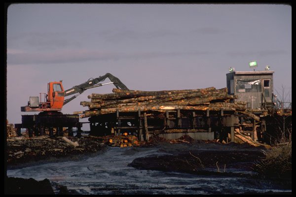 250048 Log Shipping A4 Photo Print