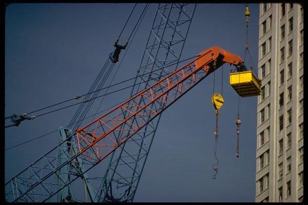 250052 Cranes A4 Photo Print