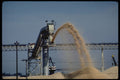 250063 Wood Chip Stockpile A4 Photo Print