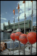 250069 Fishing Boats, Honolulu, Hawaii A4 Photo Print