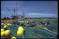 250071 Port Au Choix, Canada A4 Photo Print